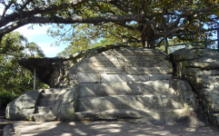 Mrs Macquarie´s Chair